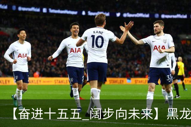 【奋进十五五 阔步向未来】黑龙江农机产业正加速迈向高端化智能化绿色化